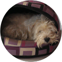 Marek Maczuga profile picture