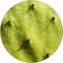 Beata Paczyńska profile picture